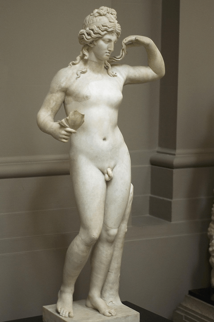Een beeldhouwwerk van Hermaphroditus
