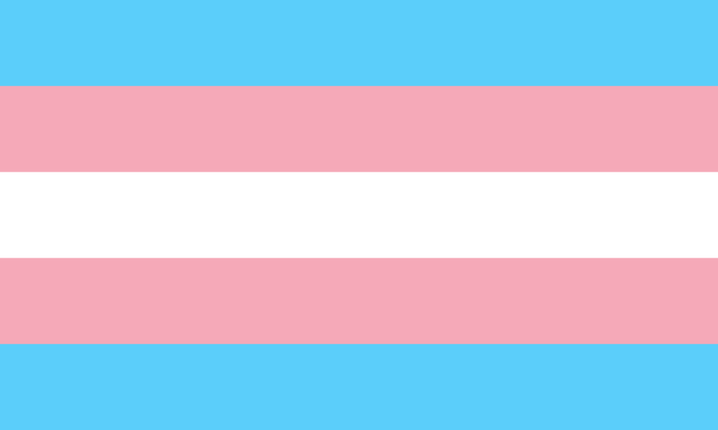 de transgender pride vlag